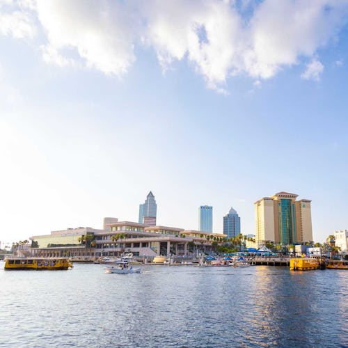 Tampa - Downtown Skyline