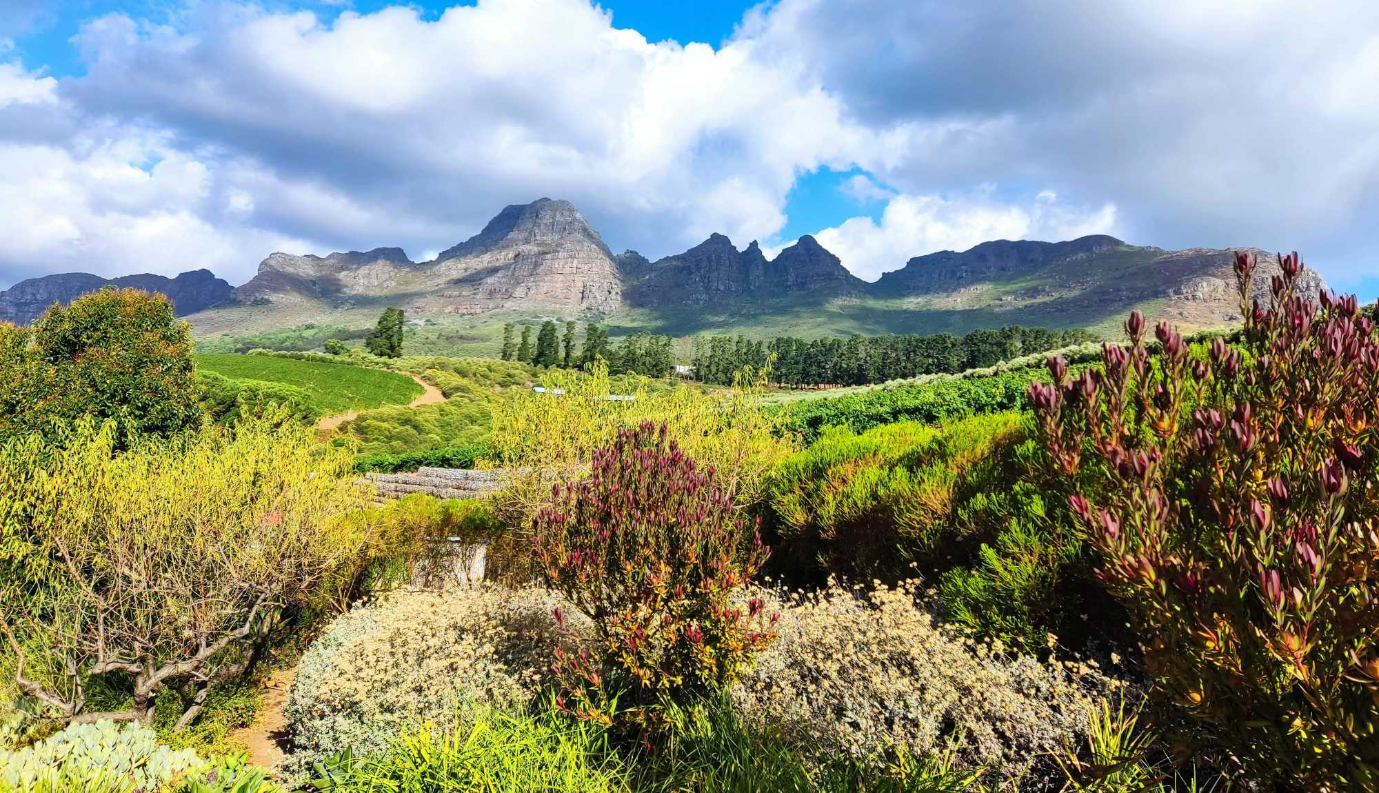 Cape Town, South Africa - Cape Winelands