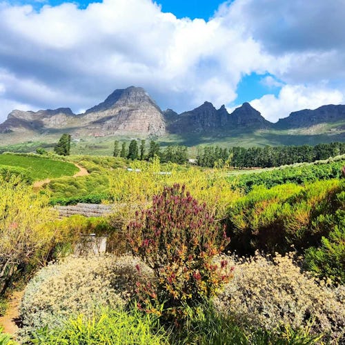 Cape Town, South Africa - Cape Winelands
