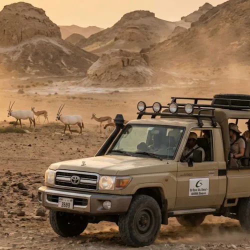 Sir Bani Yas Island UAE - 4x4 safari