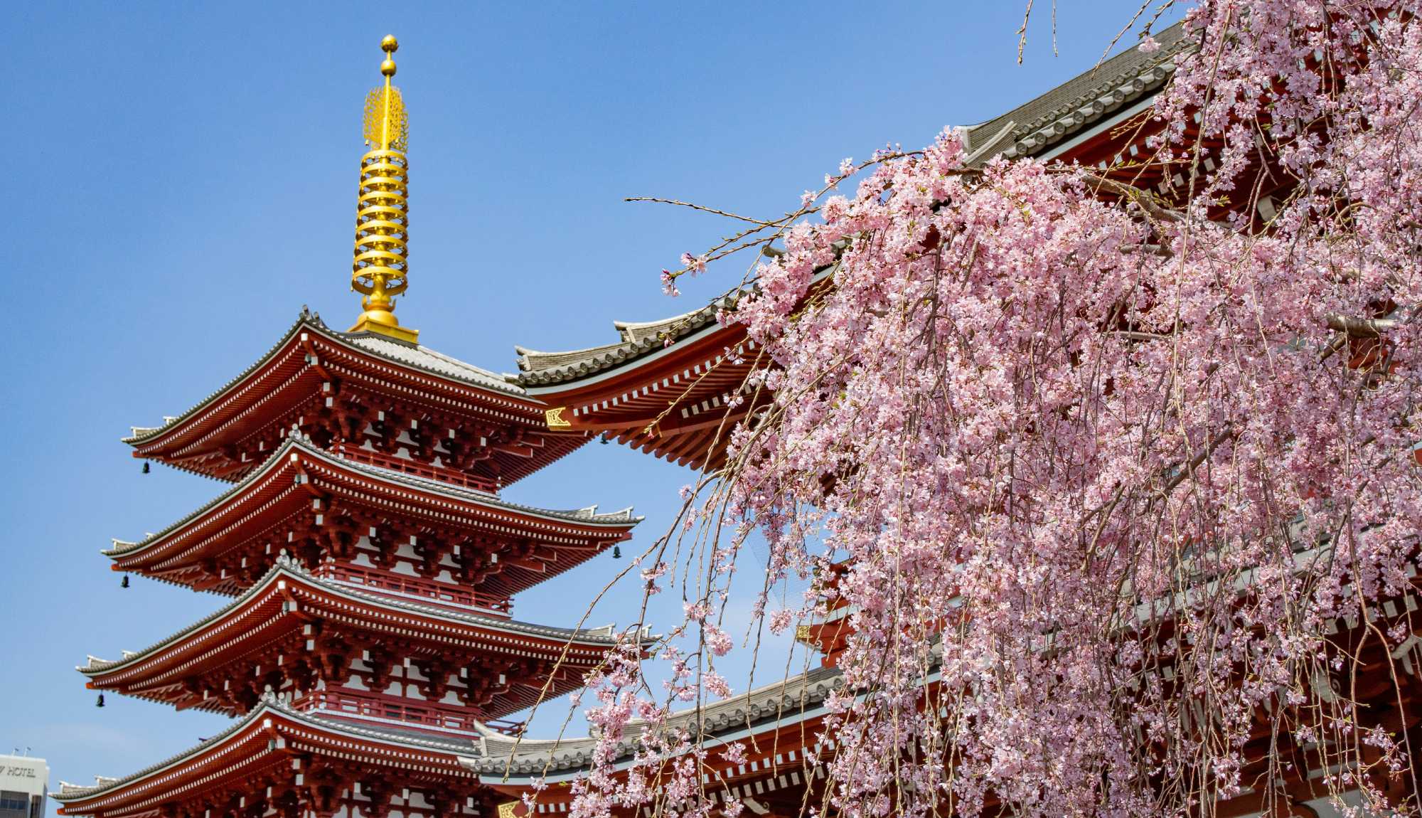 Tokyo, Japan - Sensō Ji