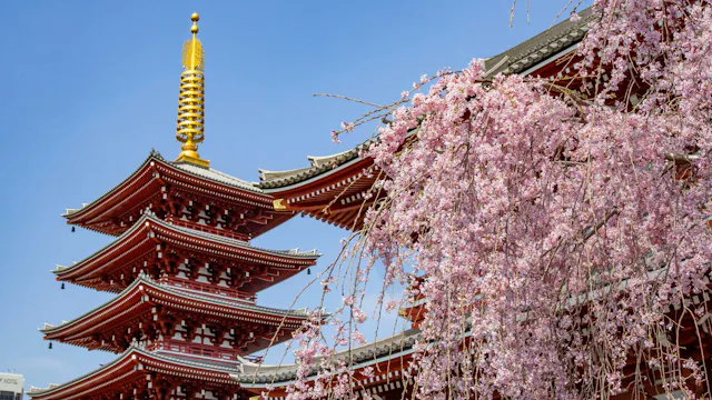 Tokyo, Japan - Sensō Ji