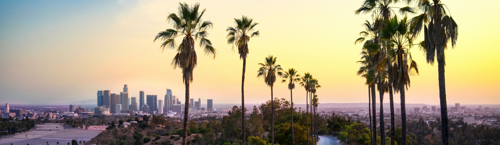 Los Angeles Skyline with palm trees