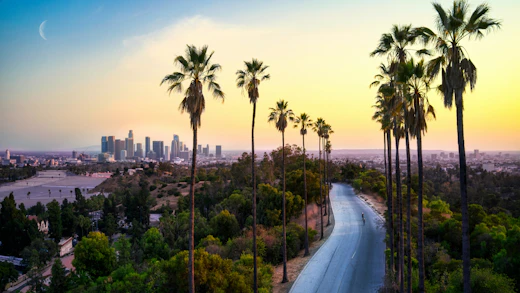 Los Angeles Skyline with palm trees