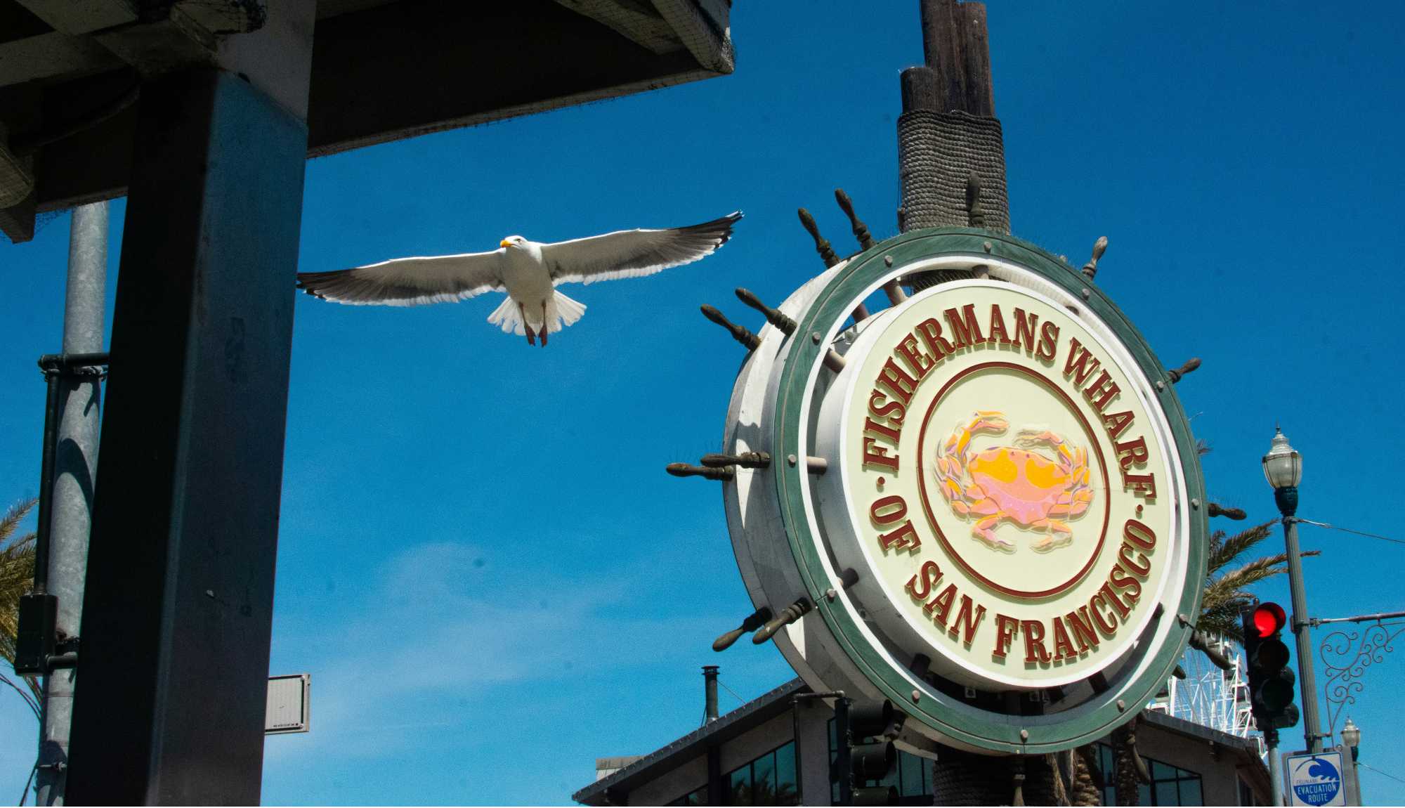 San Francisco - FIshermans Wharf
