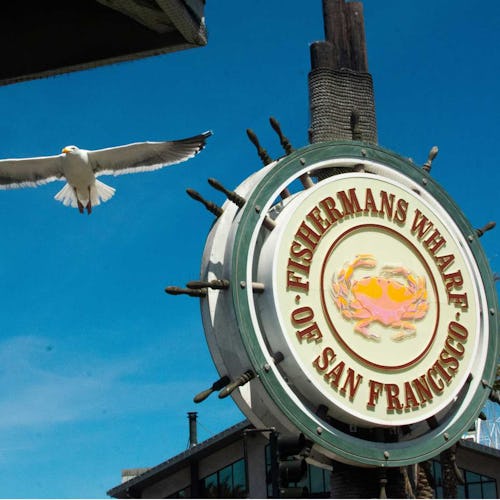 San Francisco - FIshermans Wharf