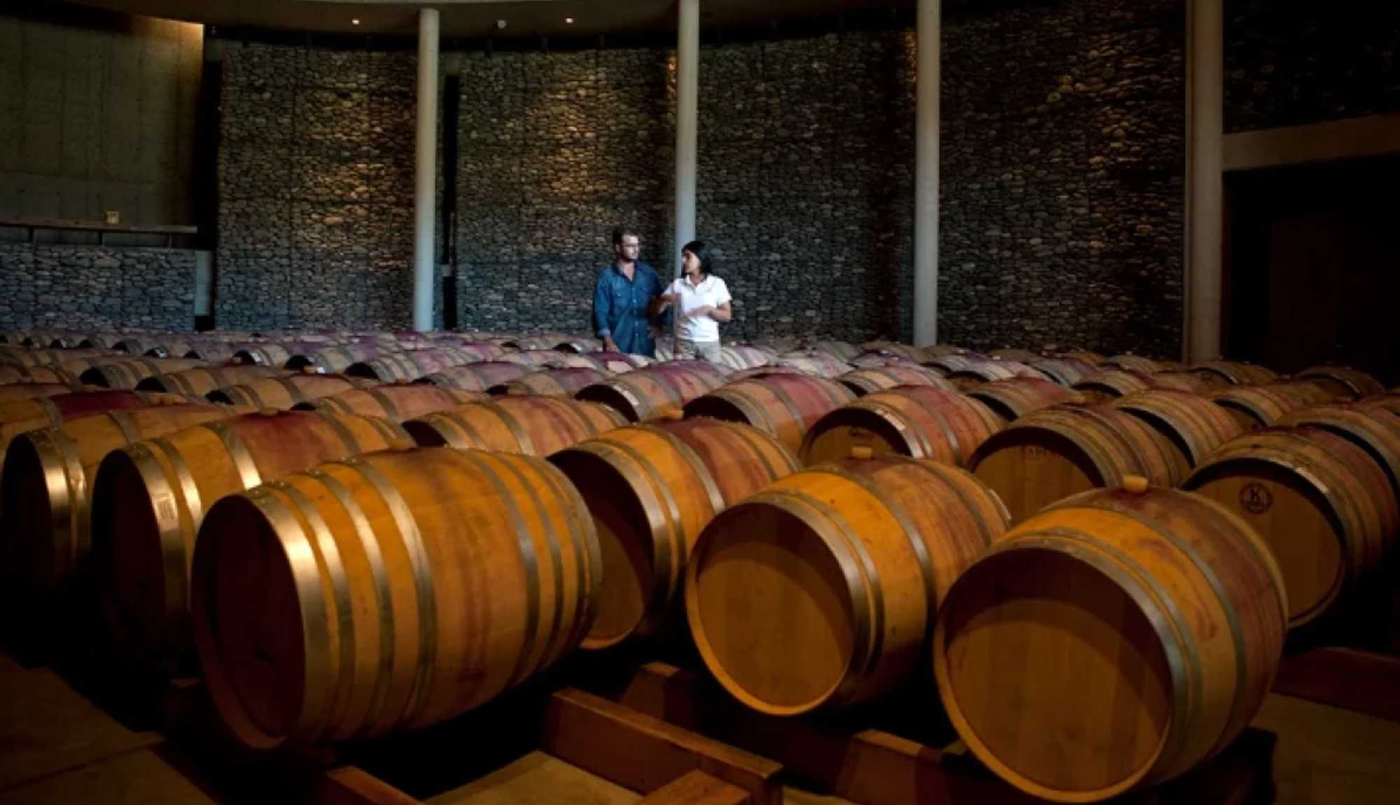 Winery in the Casablanca Valley, Chile