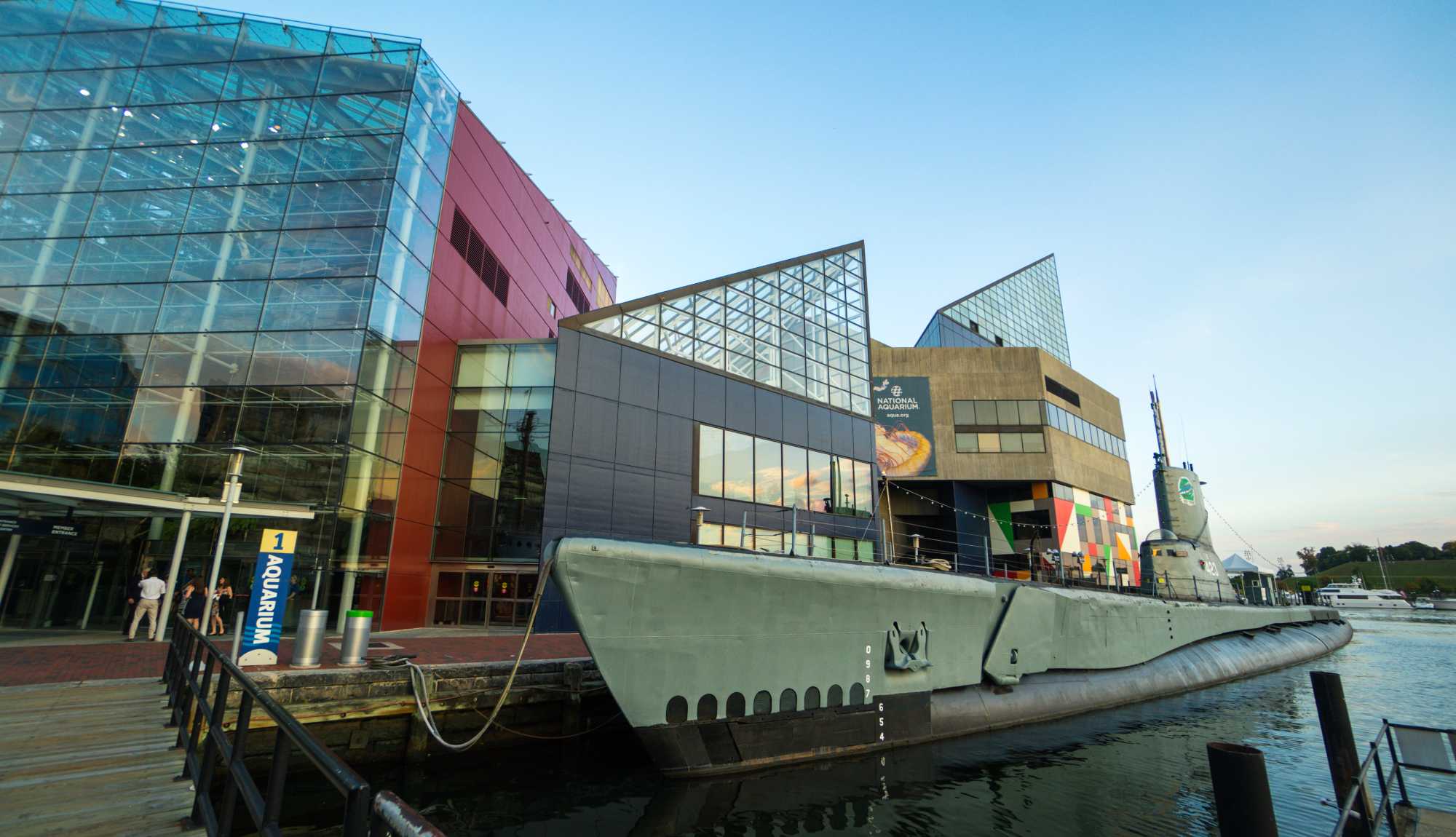 Baltimore - National Aquarium