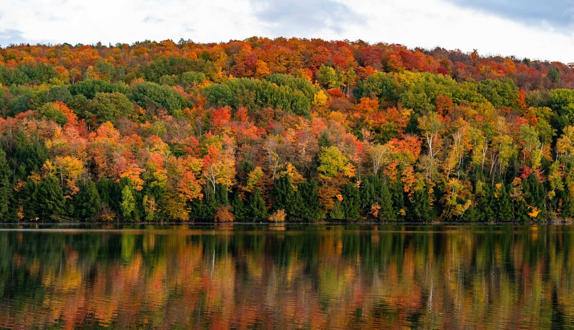 Canada New England Fall Foliage Cruises