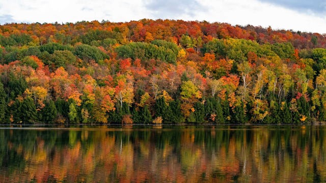 Canada New England Fall Foliage Cruises