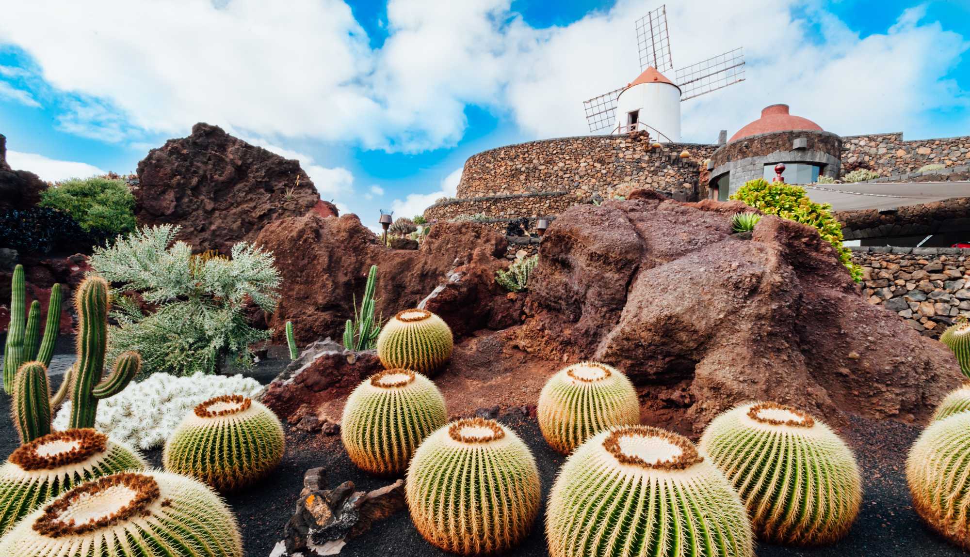 Jardin de Cactus, Lanzarote -  Canary Islands