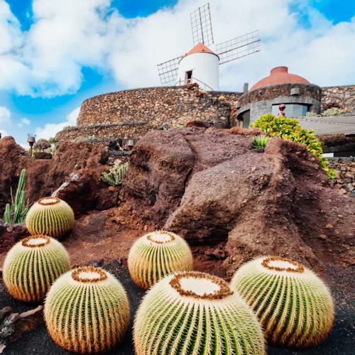 Jardin de Cactus, Lanzarote - Canary Islands