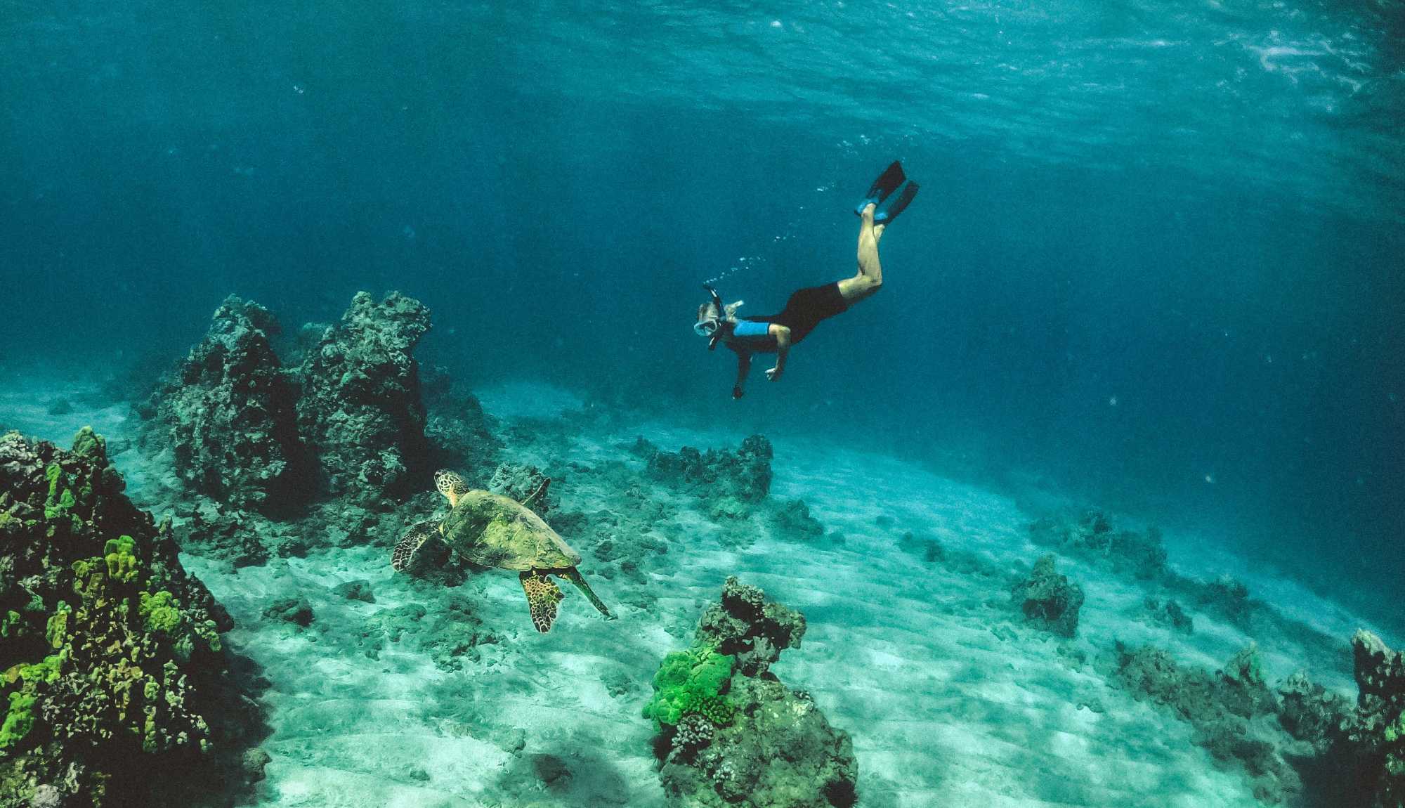 Snorkelling in crystal clear waters with a turtle
