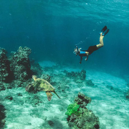 Snorkelling in crystal clear waters with a turtle