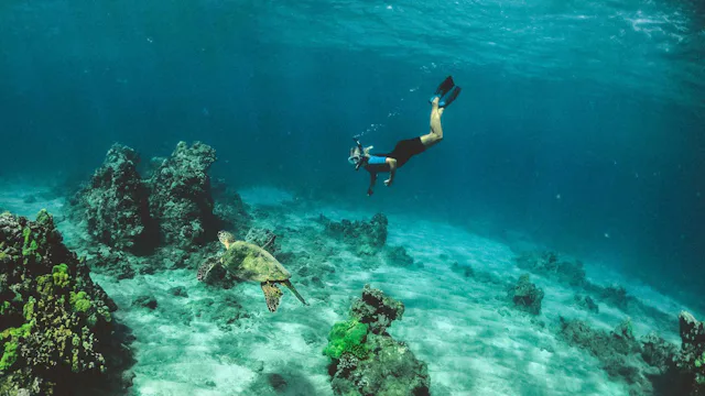 Snorkelling in crystal clear waters with a turtle