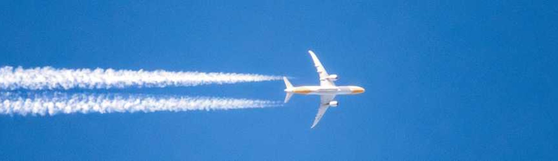 Paramount Cruises - Airplane in the sky fying to meet a cruise