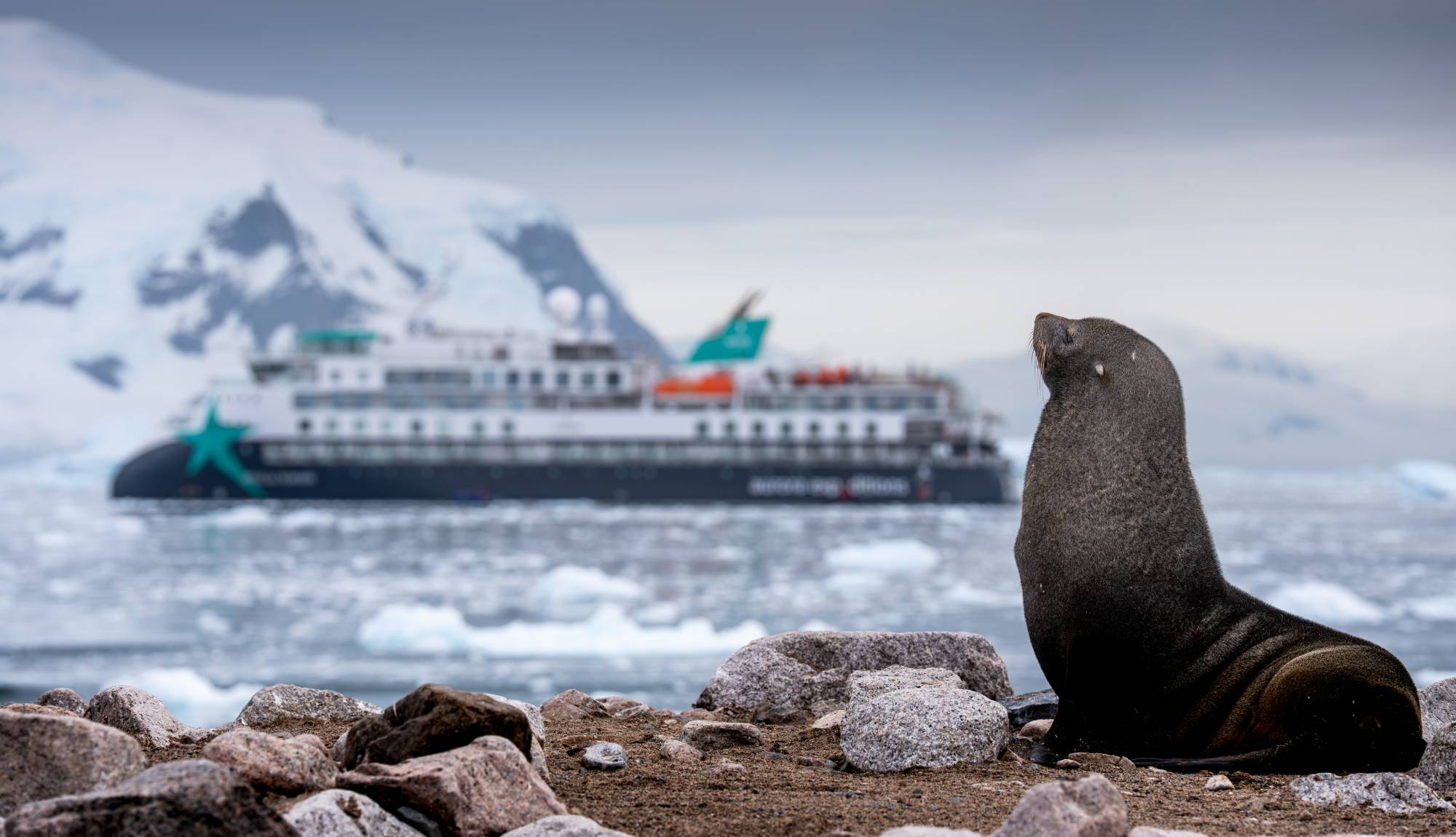 AE Expeditions - Douglas Mawson Seal