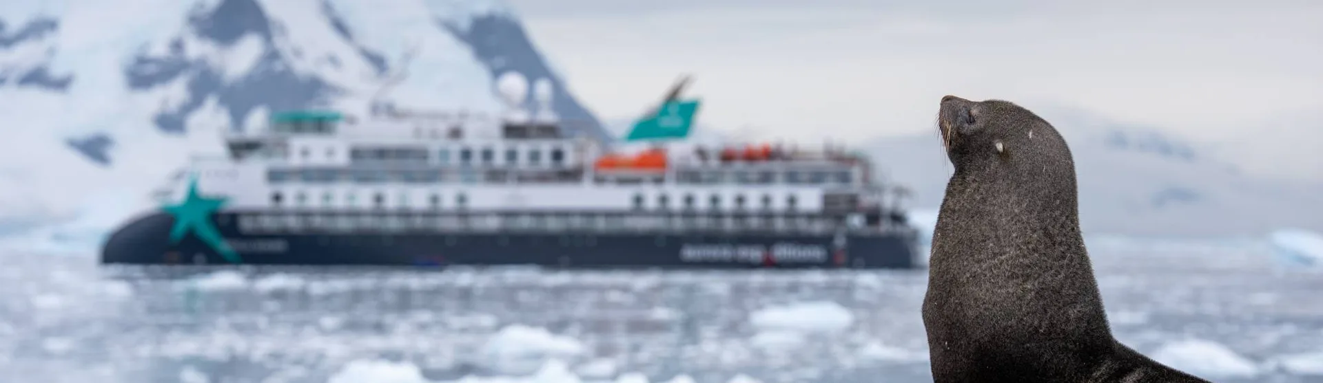 AE Expeditions - Douglas Mawson Seal