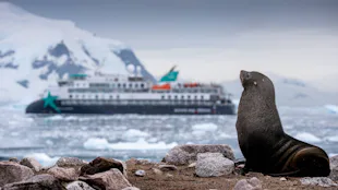 AE Expeditions - Douglas Mawson Seal