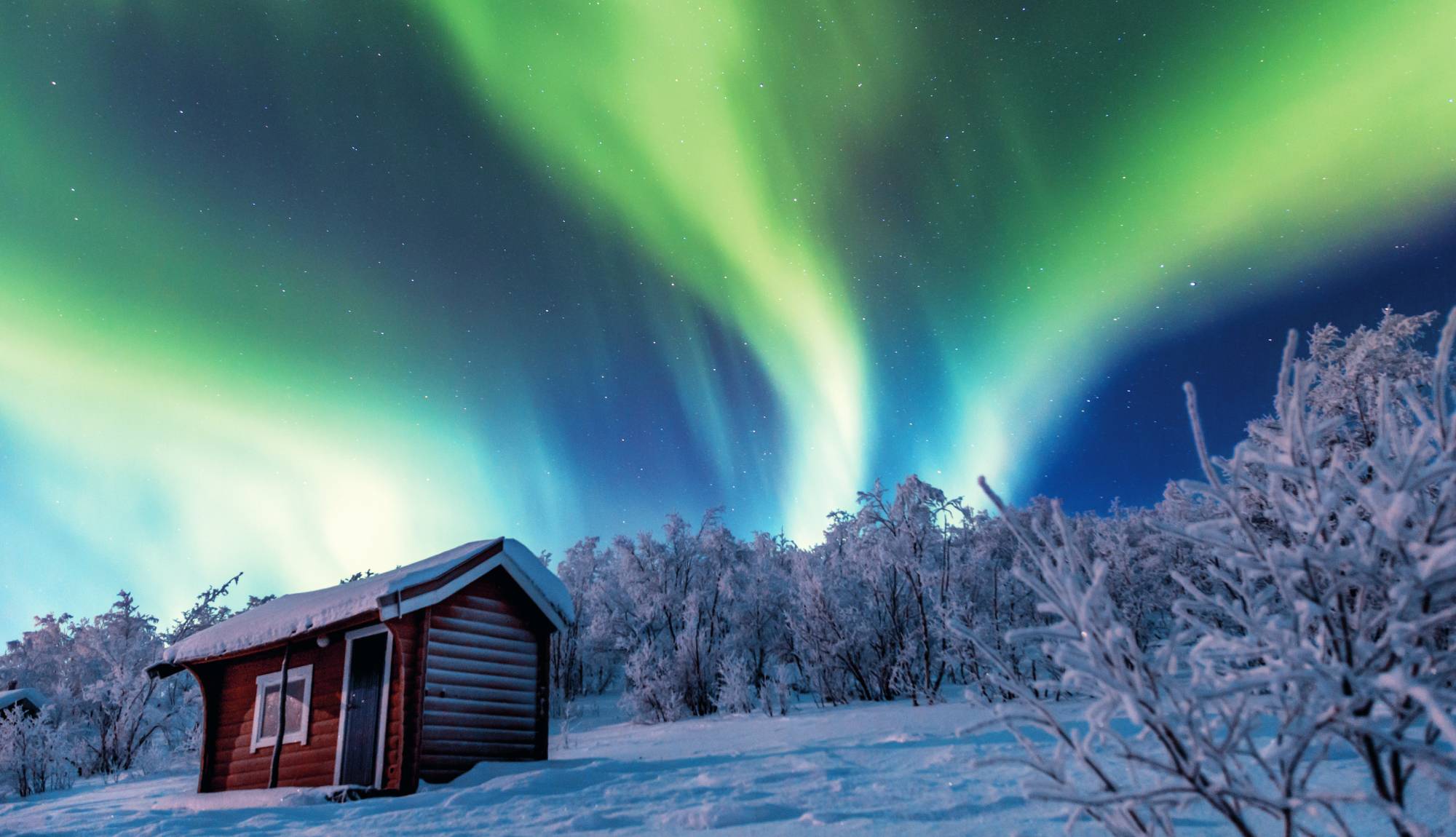 Fred. Olsen Cruise Lines Norway - Northern Lights in Alta Finnmark Norway
