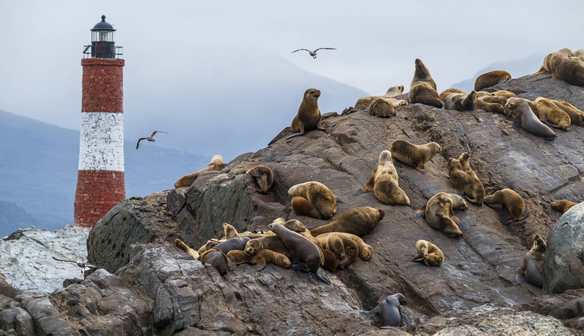 Les Eclaireurs Lighthouse, Ushuaia, Argentina