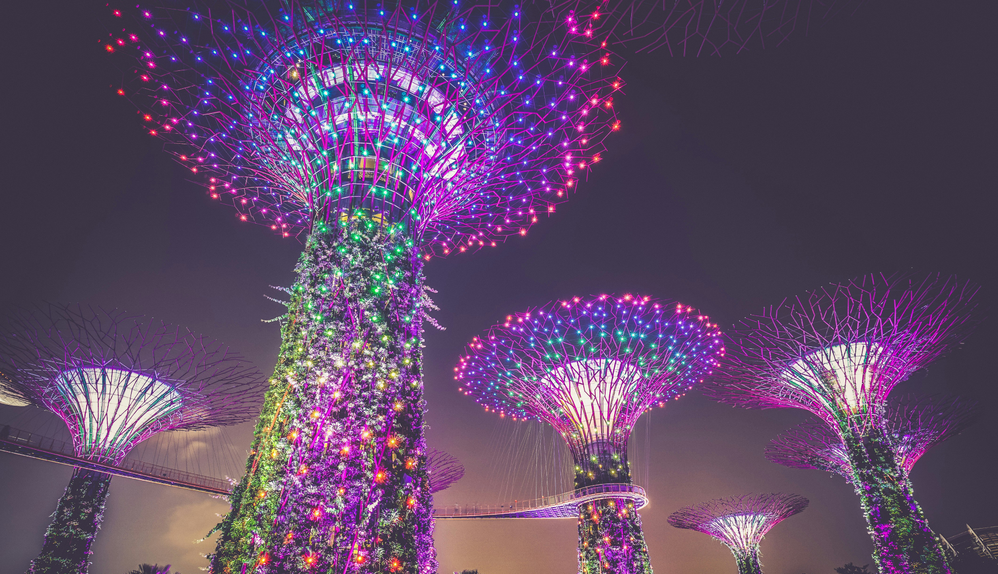 Singapore - Gardens by the Bay