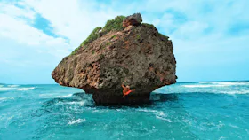 Barbados Rock at sea