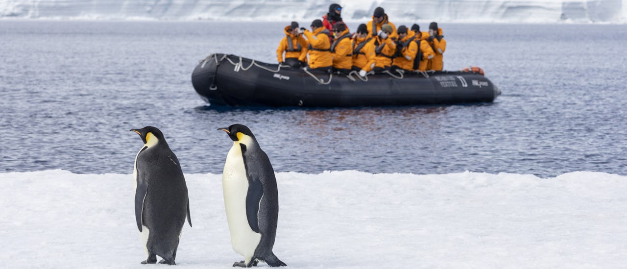 Seabourn guests viewing penguins from a zodiac in Antarctica's Weddell Sea