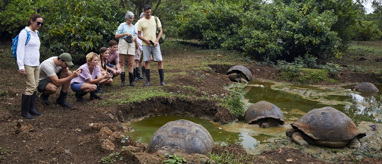 Celebrity Flora guests up close to giant turtles in the Galapagos Islands.