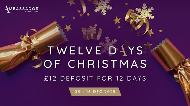 Ambassador XMAS Sale